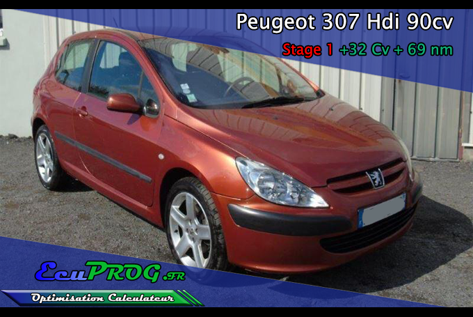 Peugeot 307 Hdi 90cv