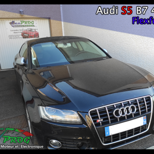 Audi S5 4.2 V8 Flexfuel E85