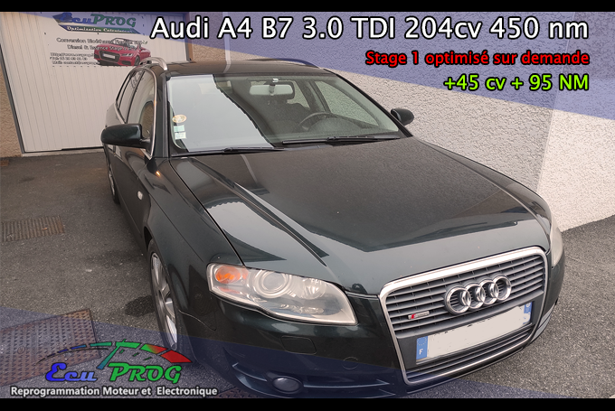 Audi A4 B7 3.0 TDI 204 cv