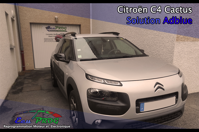 Problème ADBLUE C4 Cactus