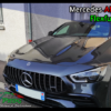 AMG GT Flexfuel E85