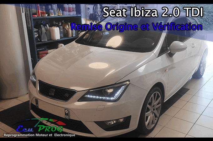 Remise Origine Seat Ibiza 2.0 TDI 143