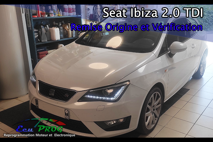 Remise Origine Seat Ibiza 2.0 TDI 143