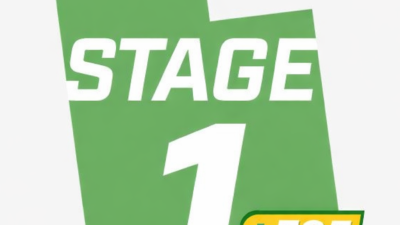 Fichier Stage 1 + E85